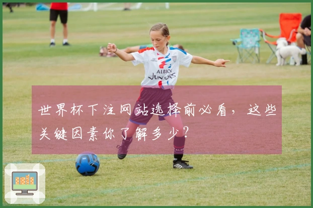世界杯下注网站选择前必看，这些关键因素你了解多少？