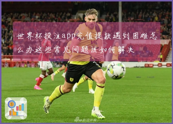 世界杯投注app充值提款遇到困难怎么办这些常见问题该如何解决