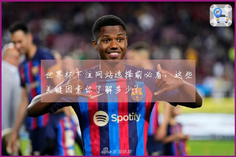 世界杯下注网站选择前必看，这些关键因素你了解多少？