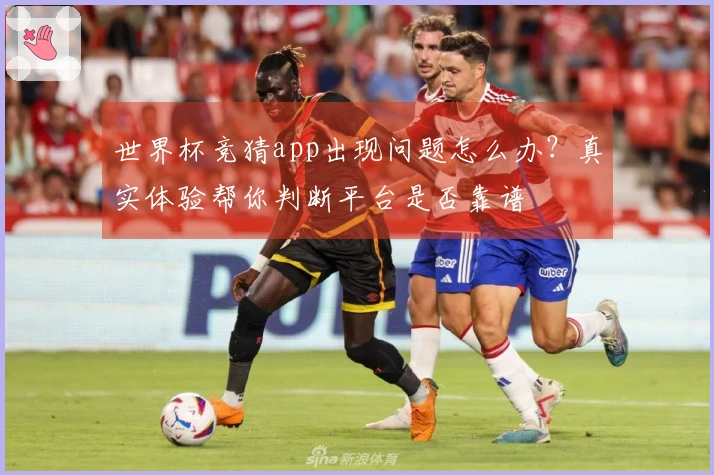 世界杯竞猜app出现问题怎么办？真实体验帮你判断平台是否靠谱